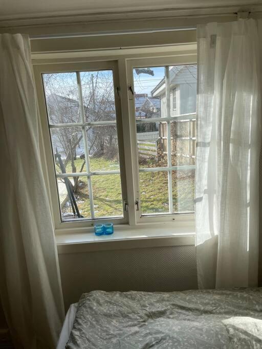 Apartament With Access To Garden, Central, Quiet And With Free Parking Фредрикстад Экстерьер фото