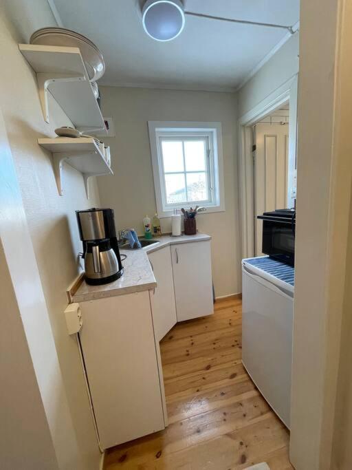 Apartament With Access To Garden, Central, Quiet And With Free Parking Фредрикстад Экстерьер фото