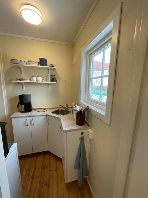 Apartament With Access To Garden, Central, Quiet And With Free Parking Фредрикстад Экстерьер фото
