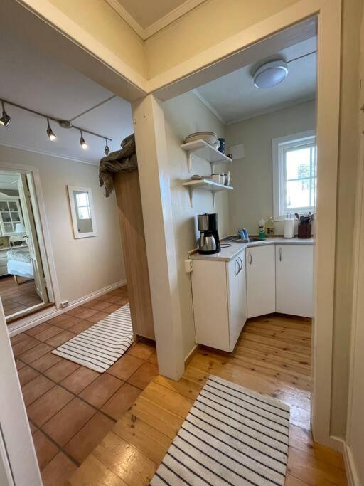 Apartament With Access To Garden, Central, Quiet And With Free Parking Фредрикстад Экстерьер фото